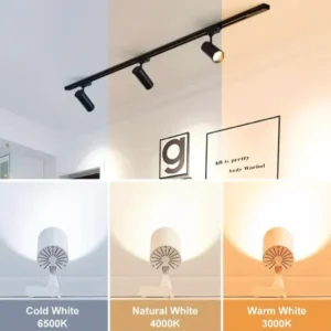 Ceiling Mounted COB Track Light (12Watt)